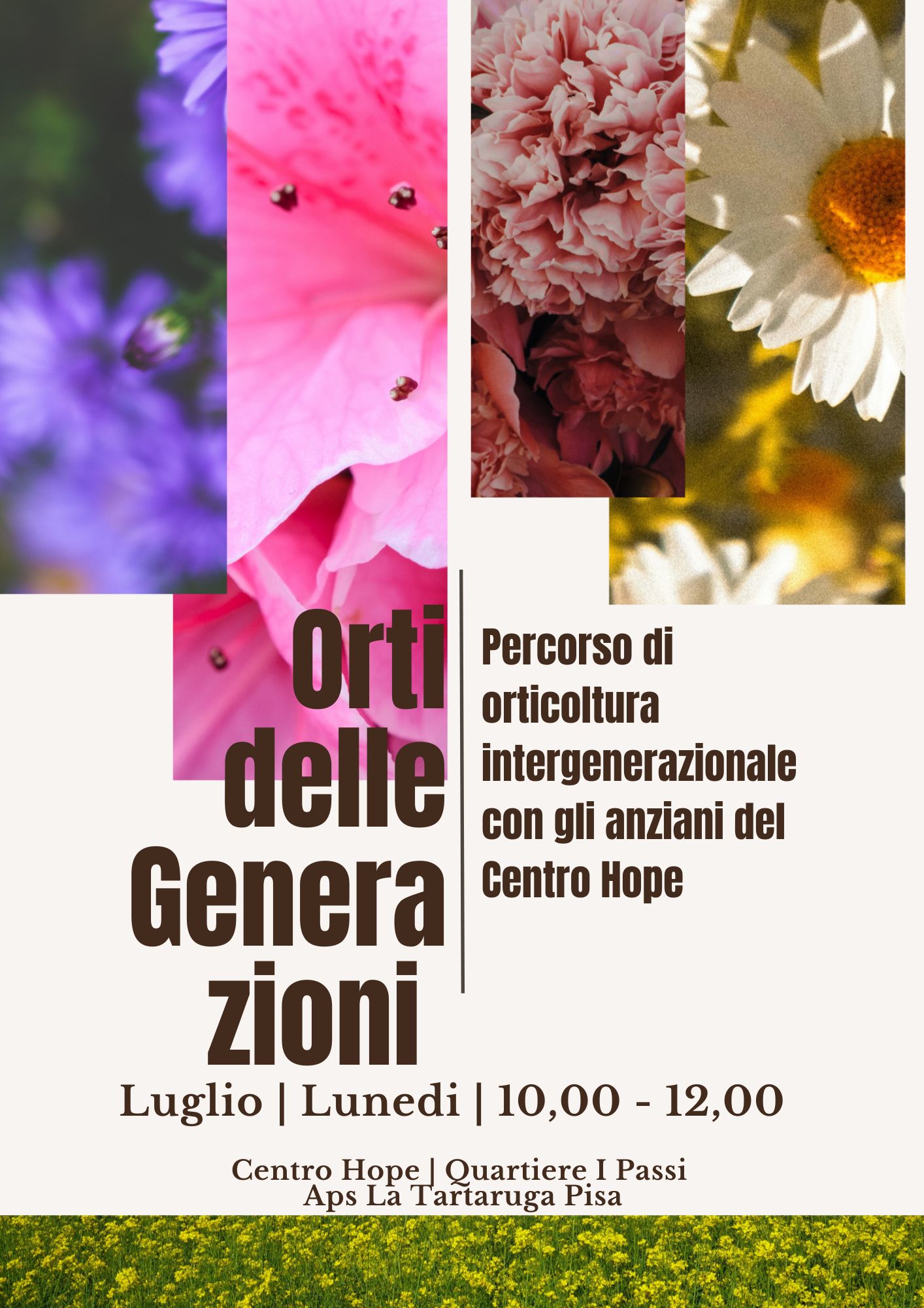 orto delle generazioni luglio